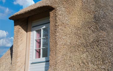 Wilford thatch roof disadvantages